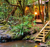 The Mouses House - Rainforest Retreat - Geraldton Accommodation