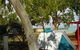 Roebuck Bay Caravan Park - thumb 0