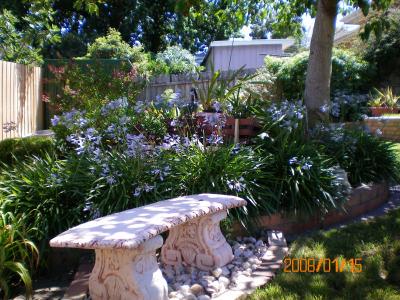 Austin Rise Bed And Breakfast - Geraldton Accommodation 4