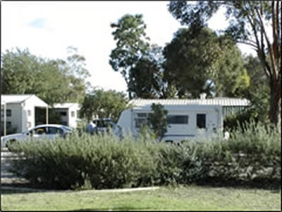 Banksia Tourist Park - Geraldton Accommodation 3