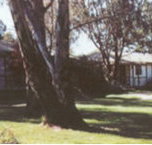 Winbi River Resort - Geraldton Accommodation