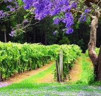 Bago Vineyards - Geraldton Accommodation