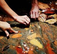Daintree Eco Lodge And Spa - Geraldton Accommodation