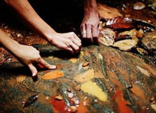 Daintree Eco Lodge And Spa - Geraldton Accommodation 0