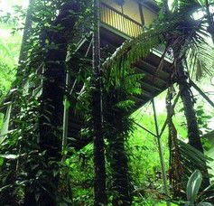 Daintree Eco Lodge And Spa - Geraldton Accommodation 1
