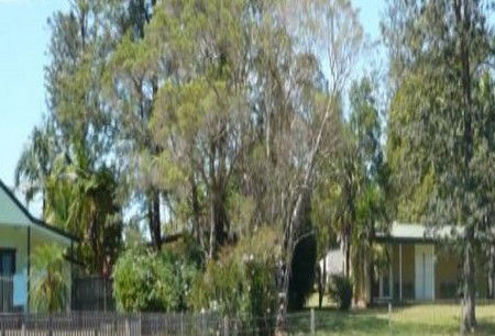 Nimbin NSW Geraldton Accommodation