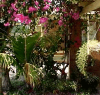 Denham Villas - Geraldton Accommodation