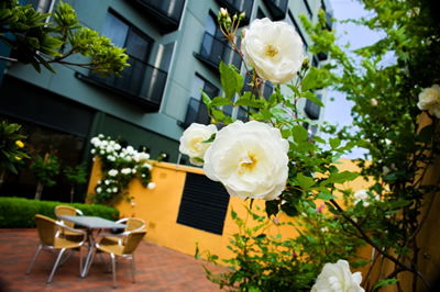 The Old Woolstore Apartment Hotel - Geraldton Accommodation 5