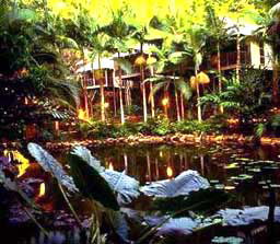 Daintree Eco Lodge And Spa - Geraldton Accommodation 3