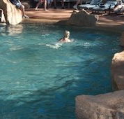 Undara Experience Lava Lodge - Geraldton Accommodation