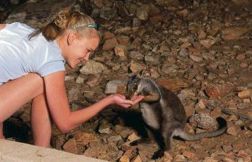 Heaviytrr Gap Outback Lodge - Geraldton Accommodation 5