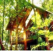 The Canopy Treehouses - Geraldton Accommodation