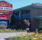 Strzelecki Motor Lodge - Geraldton Accommodation