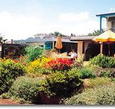 Best Western Applegum Inn Motel - Toowoomba - Geraldton Accommodation