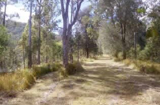 Toms Creek Retreat - Geraldton Accommodation 1
