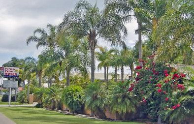 Forster Palms Motel - Geraldton Accommodation 2