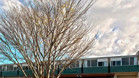 St Helens Bayside Inn - Geraldton Accommodation 1