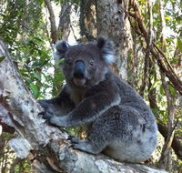 O'Carrollyns At One Mile Beach - Geraldton Accommodation
