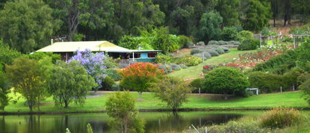Lavender And Berry Farm - Geraldton Accommodation 0