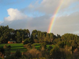 Lavender And Berry Farm - Geraldton Accommodation 3