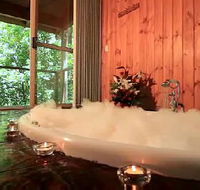 Tree Houses Of Montville - Geraldton Accommodation