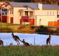 Grand Mercure The Vintage Hunter Valley - Geraldton Accommodation