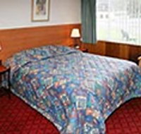 Mt Lyell Motor Inn - Geraldton Accommodation