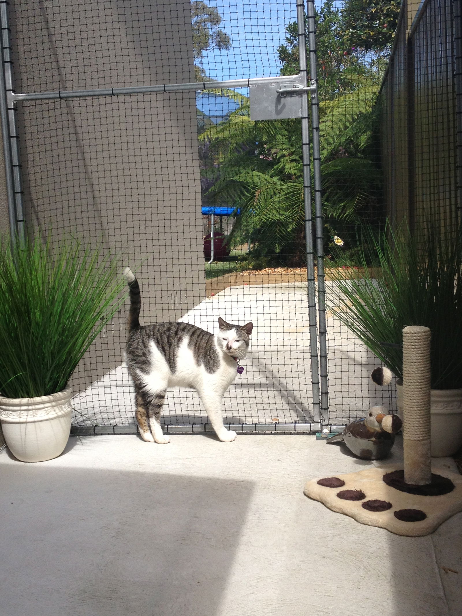 Caringbah South NSW Geraldton Accommodation