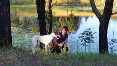 Wingham Pet Motel - Geraldton Accommodation 2