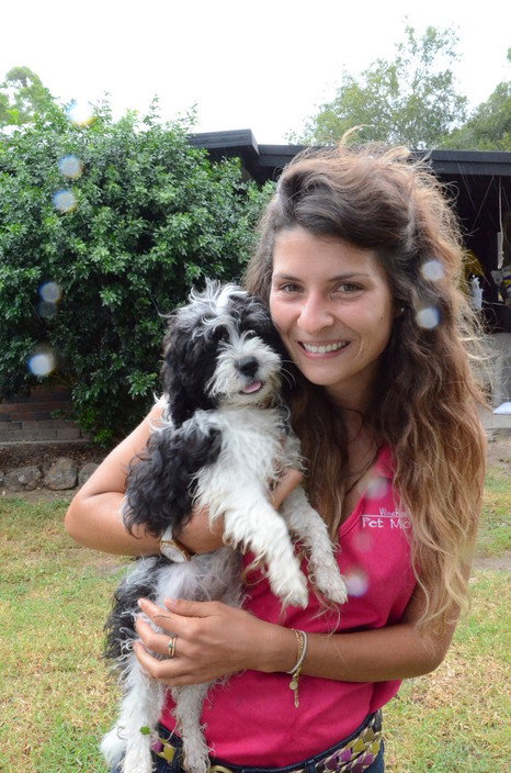 Wingham Pet Motel - Geraldton Accommodation 5