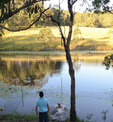 Wingham Pet Motel - Geraldton Accommodation 7