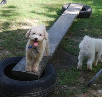 Beenleigh Pet Motel - Geraldton Accommodation