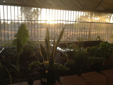 Cityside Accommodation | Mt Isa - Geraldton Accommodation 5