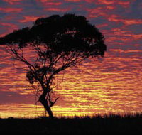 Kimba Caravan Park amp Motel - Geraldton Accommodation