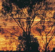 Tilmouth Well - Geraldton Accommodation