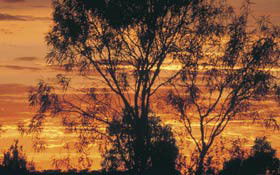 Tilmouth Well - Geraldton Accommodation 0