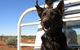 Wooleen Outback Station Stay - thumb 2
