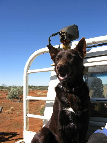 Wooleen Outback Station Stay - Geraldton Accommodation 2