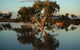 Wooleen Outback Station Stay - thumb 3