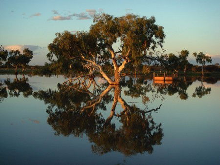 Wooleen Outback Station Stay - Geraldton Accommodation 3