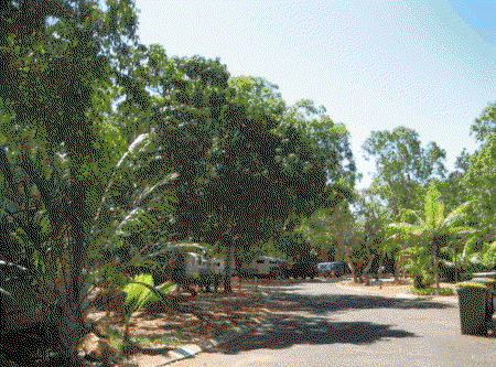 Cable Beach Caravan Park - Geraldton Accommodation 1