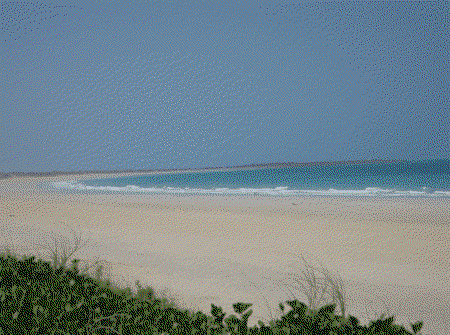 Cable Beach Caravan Park - Geraldton Accommodation 2