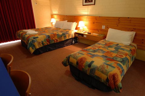 Barossa Motor Lodge - Geraldton Accommodation 4