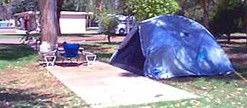 Wintersun Caravan Park - Geraldton Accommodation 3