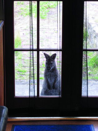 VARUNA - Geraldton Accommodation 4