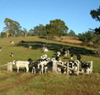 St Columba Cottage - Geraldton Accommodation
