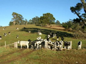 St Columba Cottage - Geraldton Accommodation 0