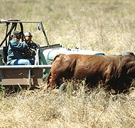 Bullo River Station - Geraldton Accommodation