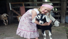 Nabiac NSW Geraldton Accommodation