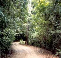 Mt Glorious Getaway Cottages And Conference Centre - Geraldton Accommodation